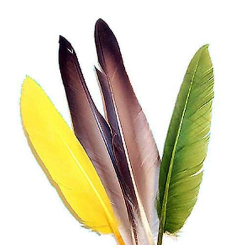 Duck Quills|Black|Natural|Olive|Red|Yellow|White