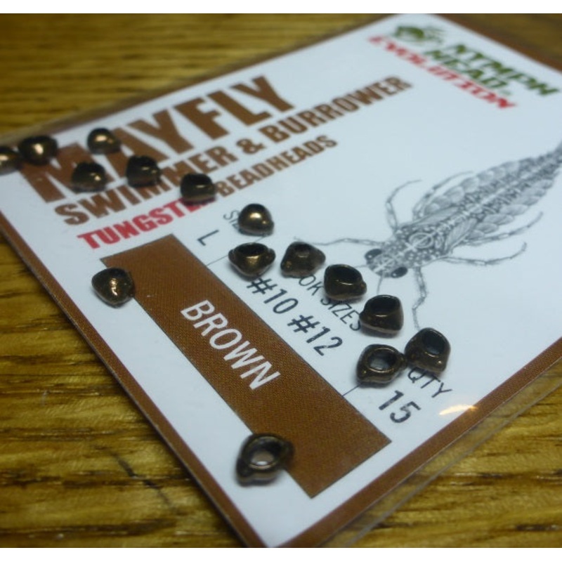 Nymph Head Evolution Mayfly Swimmer Brown