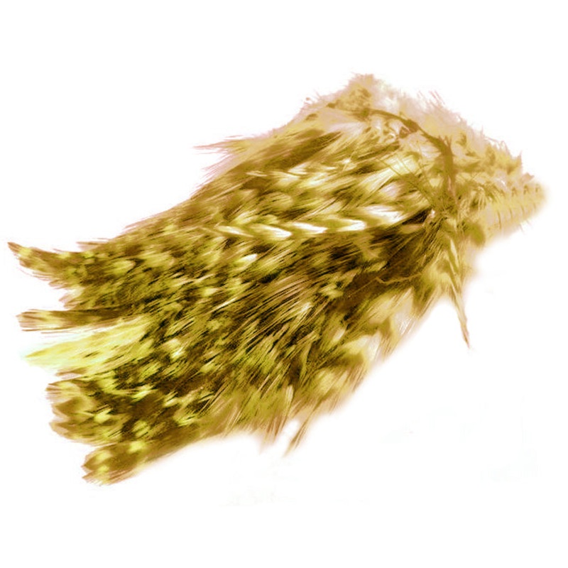 BARRED STRUNG NECK HACKLE. Color: YELLOW