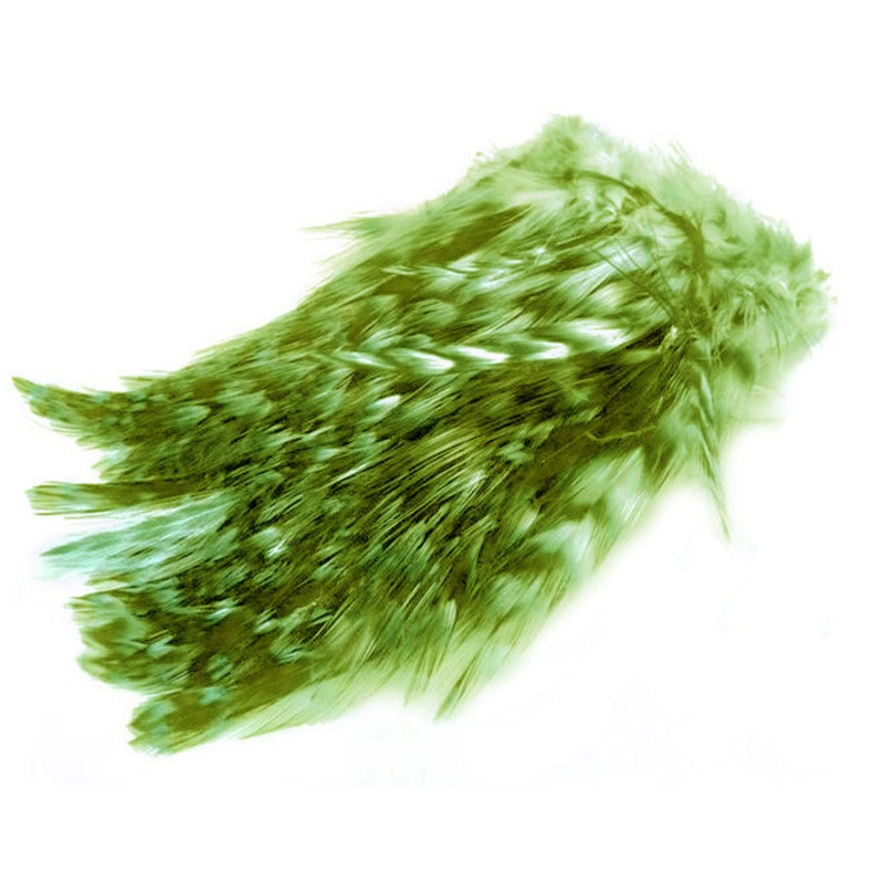 BARRED STRUNG NECK HACKLE. FL. Chartreuse