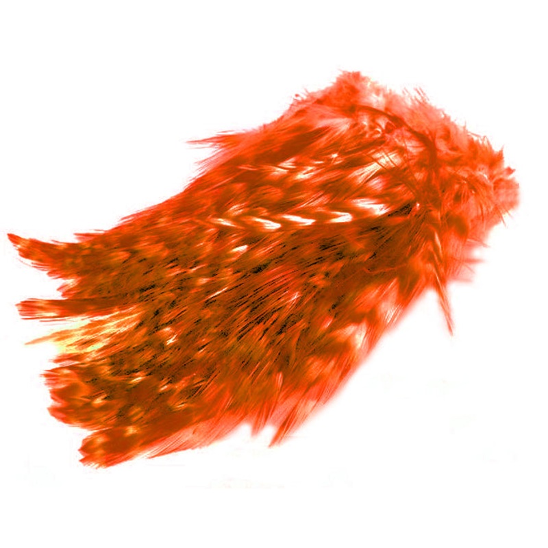 BARRED STRUNG NECK HACKLE. FL. FIRE ORANGE