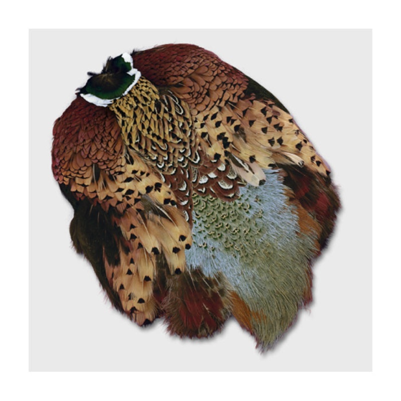 CCT Ringneck Pheasant Skin