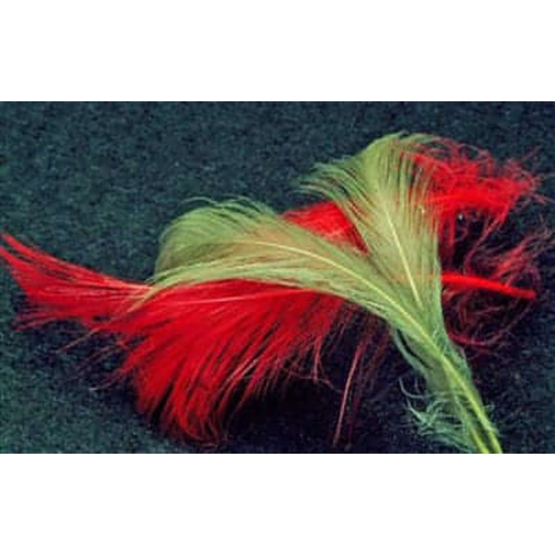 Spey Hackle|Black|Chartreuse|Dun|Fluorescent Blue|Fluorescent Orange|Fluorescent Red|Fuchsia|Insect Green|Olive|Purple|Red|Yellow