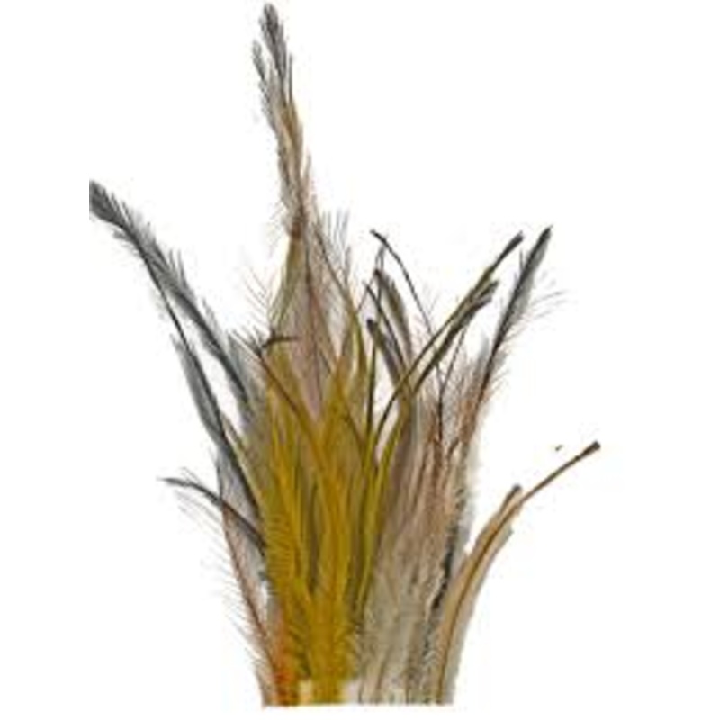 Strung Emu|Black|Bleached|Gray Dun|Natural Dun|Olive|Rusty Orange