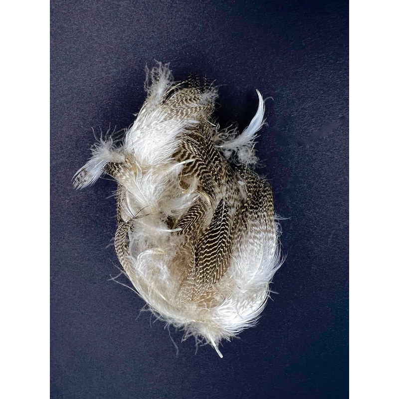 Hareline Gadwall Feathers