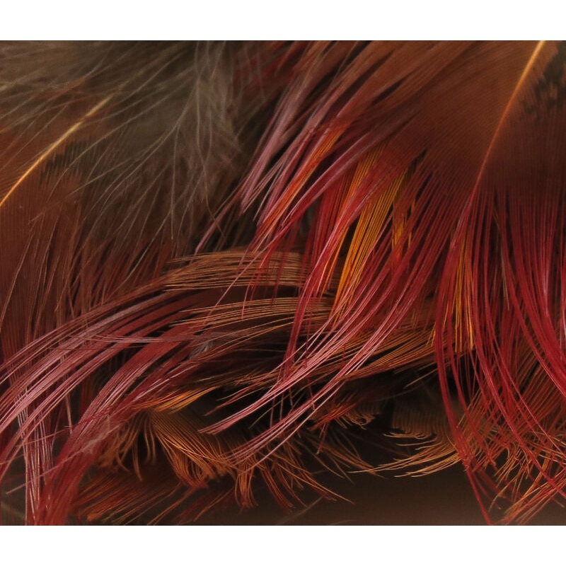 Hareline Golden Pheasant Feathers