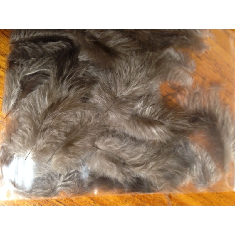 Filoplume (After Shaft Feathers)