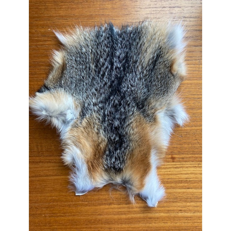 Fox, Gray|Extra Large