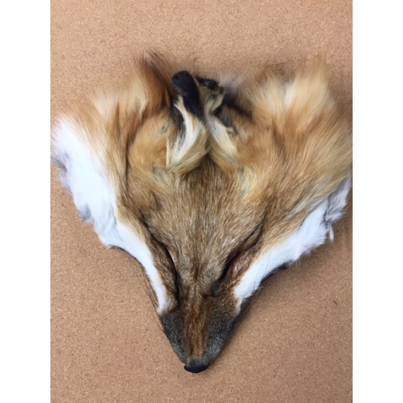 Fox, Red – Face Mask