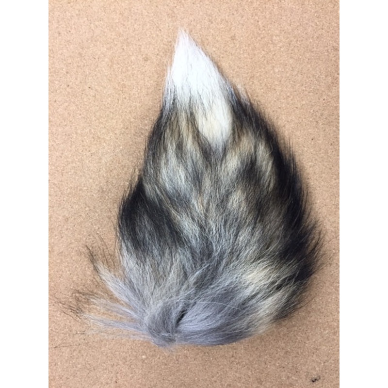 Fox, Red – Tail Segments