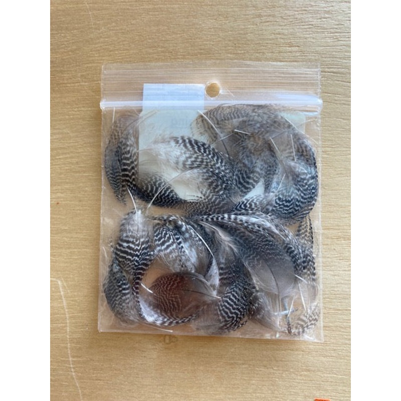 Gadwall Breast Feathers|24