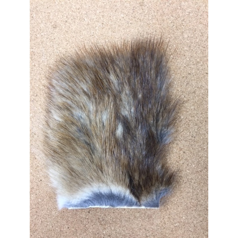 Muskrat|2″ x 3″|Large