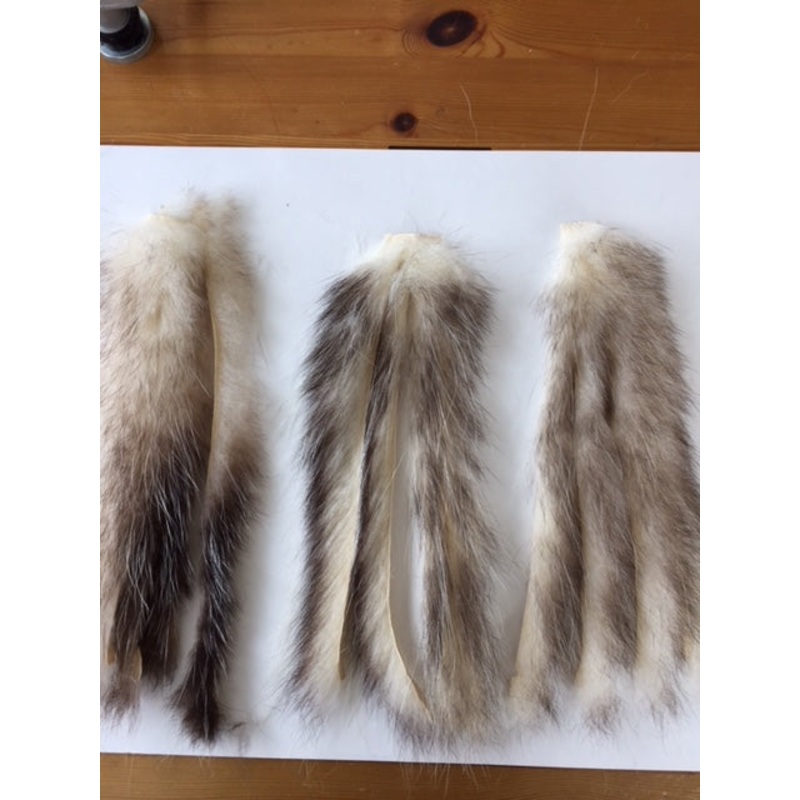 Opossum Zonkers|1/4″|3