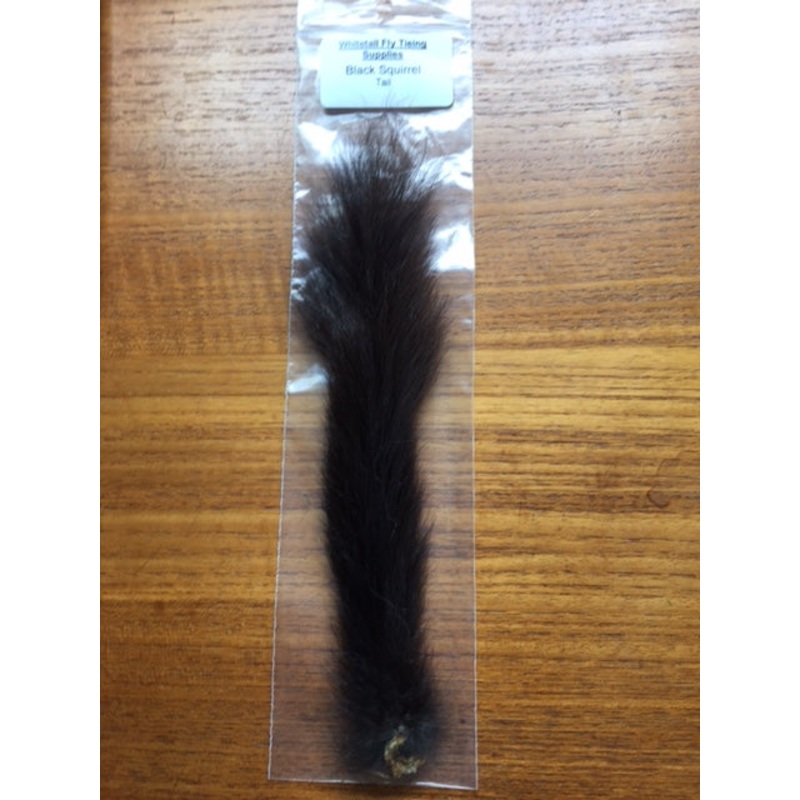 Squirrel, Black Tail – Natural