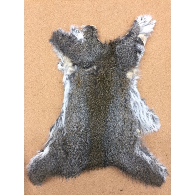 Squirrel, Gray Natural Skin Piece