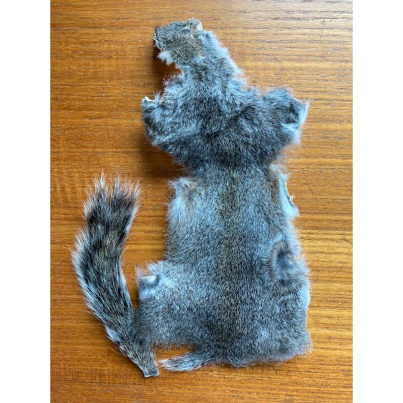 Squirrel, Gray Skin with Tail