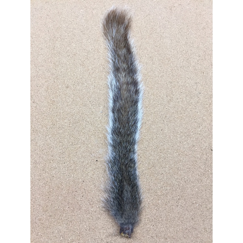 Squirrel Tail, Gray – Bleached