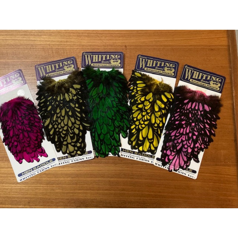 American Hen Saddle Black Laced