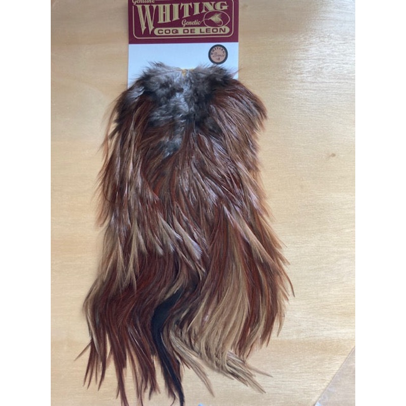 Coq de Leon Rooster Saddles Bronze Grade