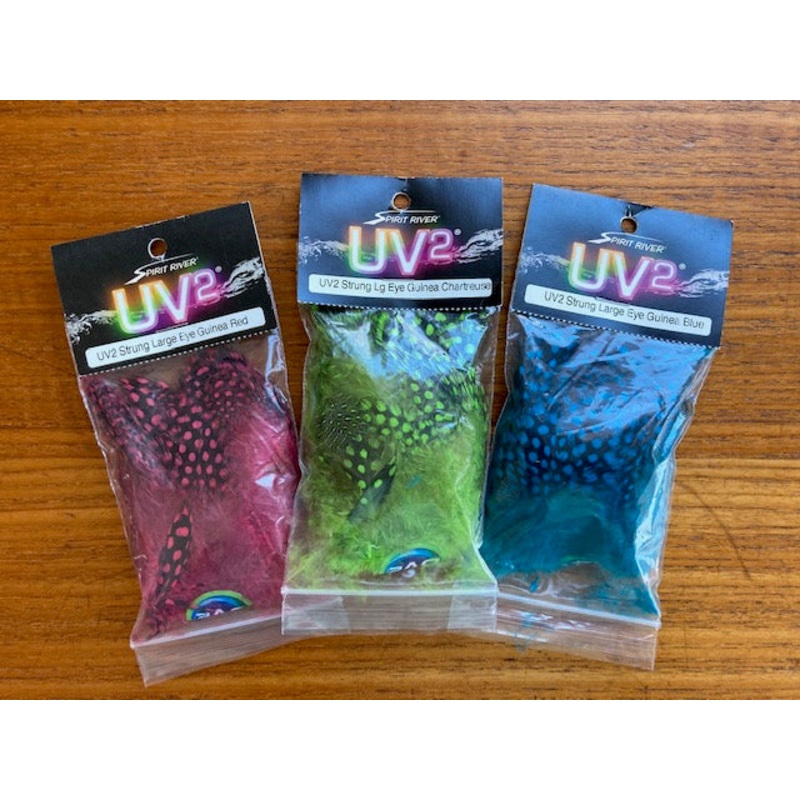 Guinea Feathers, UV2 Large Eyed