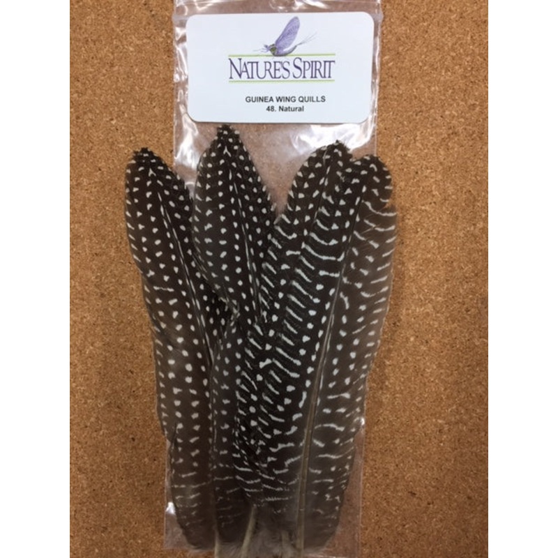 Guinea Wing Quills|Natural