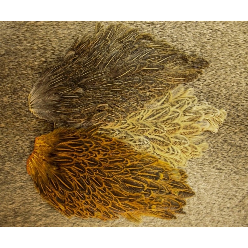 Hen Saddle Patches, Small|Speckled Amber|Speckled Brown|Speckled/Olive|Speckled/Orange|Speckled Insect Green|Speckled Natural Gray|Speckled/Yellow|Barred Orange/Black|Barred Olive|Barred Yellow