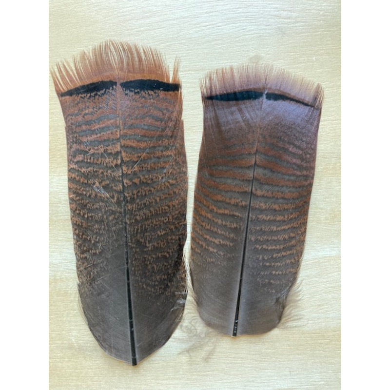 Turkey Brown Mottled Apron Feathers