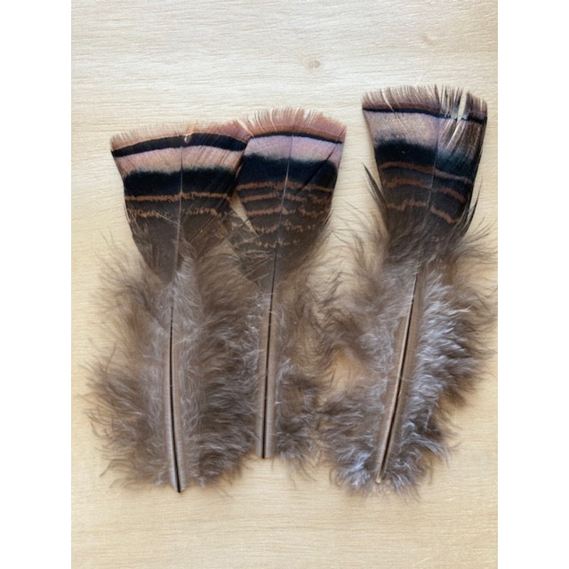 Turkey Marabou, Large – Natural