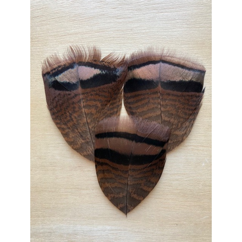 Turkey Margin Apron Feathers, Bronze