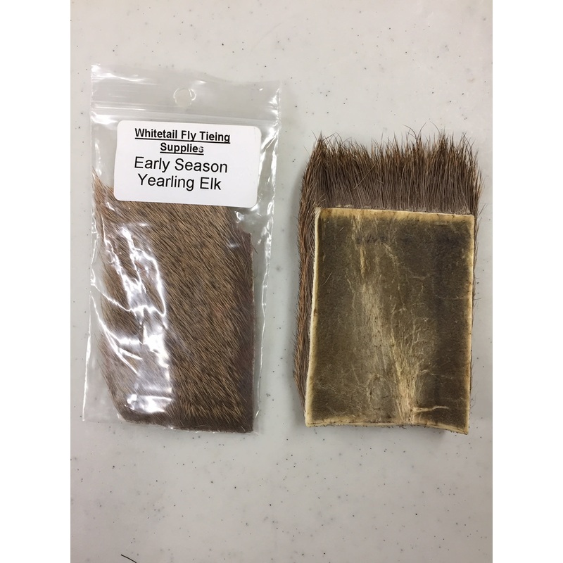 Elk, Yearling – Early Season|2″ x 3″|Large|Natural|Bleached