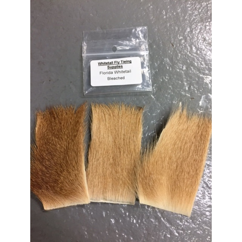Florida Whitetail Bleached|2″ x 3″|Bleached