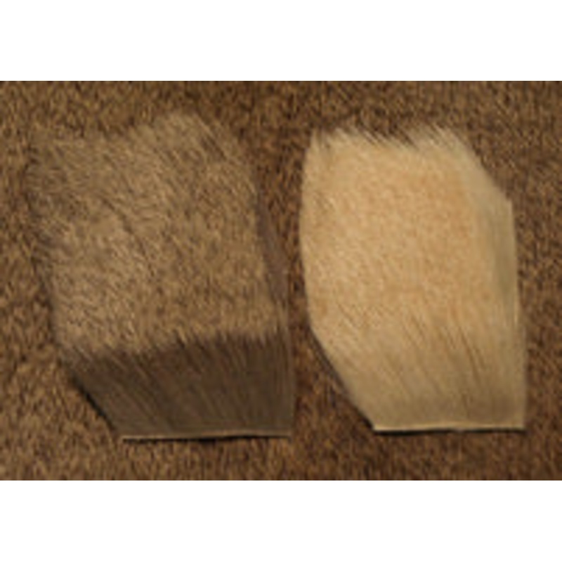 Nature’s Spirit, Premium Yearling Elk