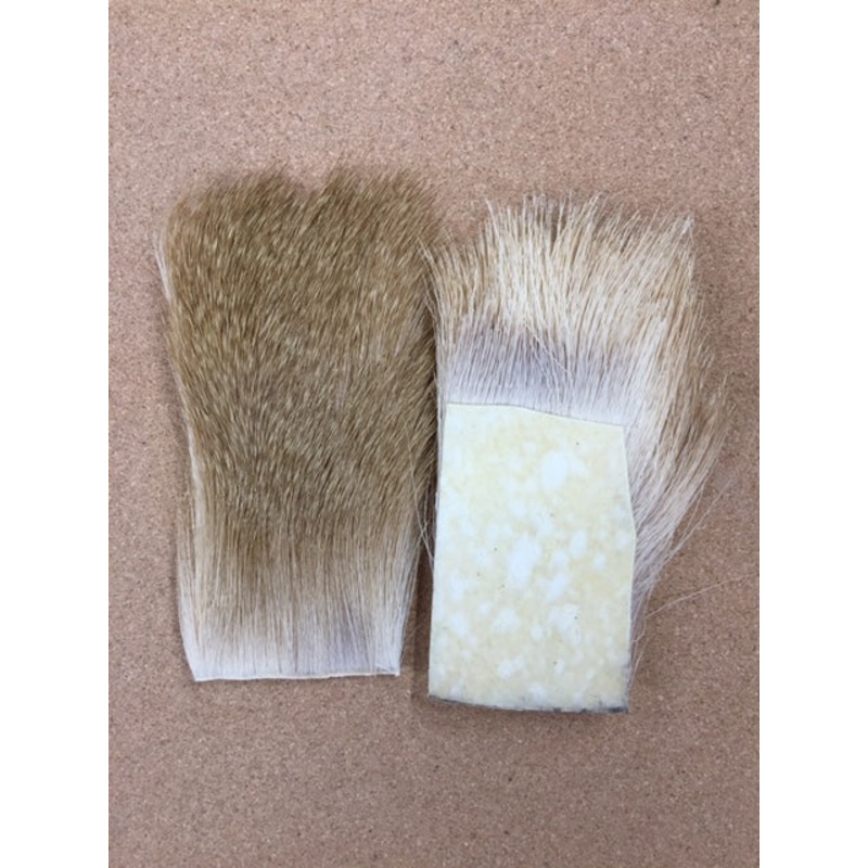 Whitetail Deer Body Hair – Long Coarse (for spinning) – Bleached