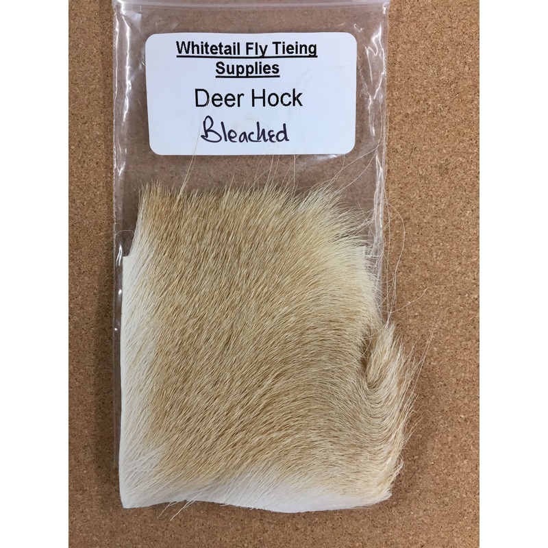 Whitetail Deer Hock – Bleached