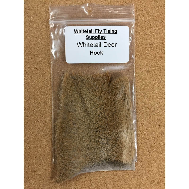 Whitetail Deer Hock – Natural|2″ x 3″|Natural