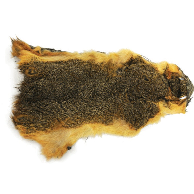 Squirrel, Red Fox Skin