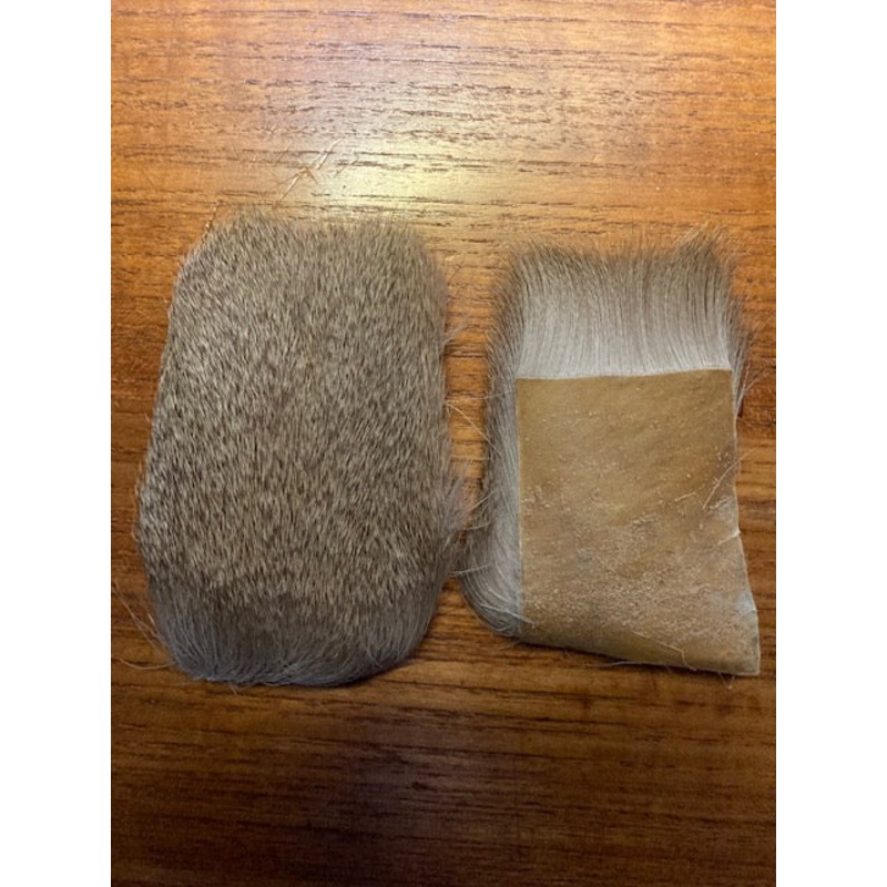 Roe Deer Hock|2″ x 3″