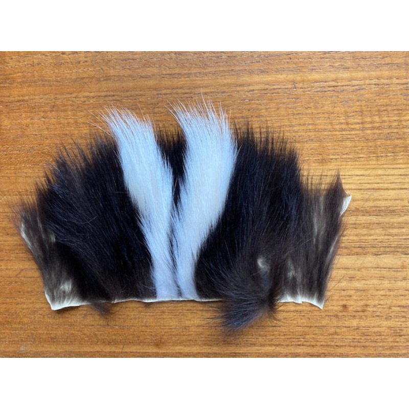 Skunk – Large|3″ x 4″