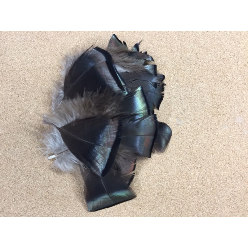 Turkey Back Feathers, Bronze/Black