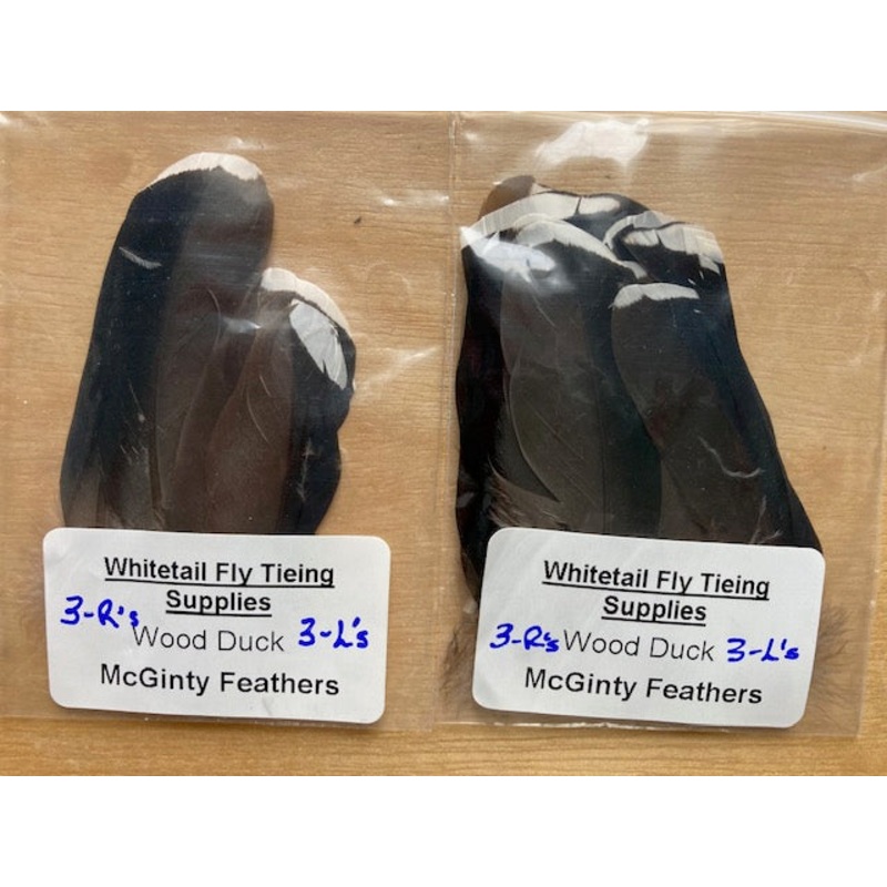 Wood Duck McGinty Feathers