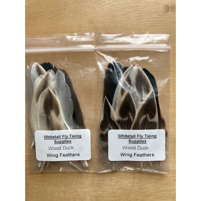 Wood Duck Wing Feathers