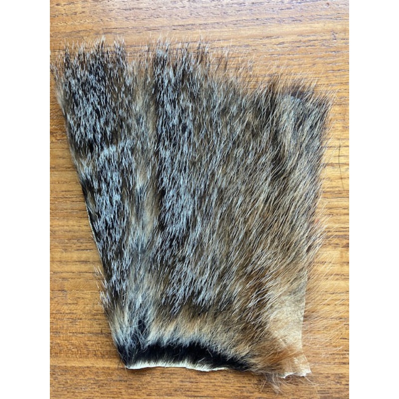 Woodchuck – Extra Large|4″ x 6″