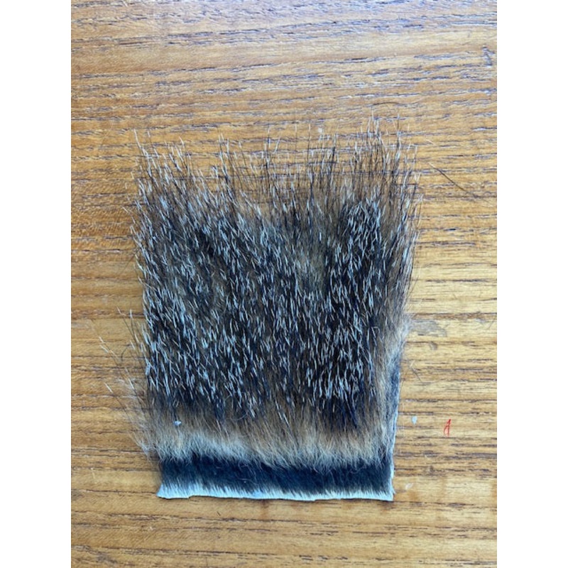 Woodchuck – Small|2″ x 3″