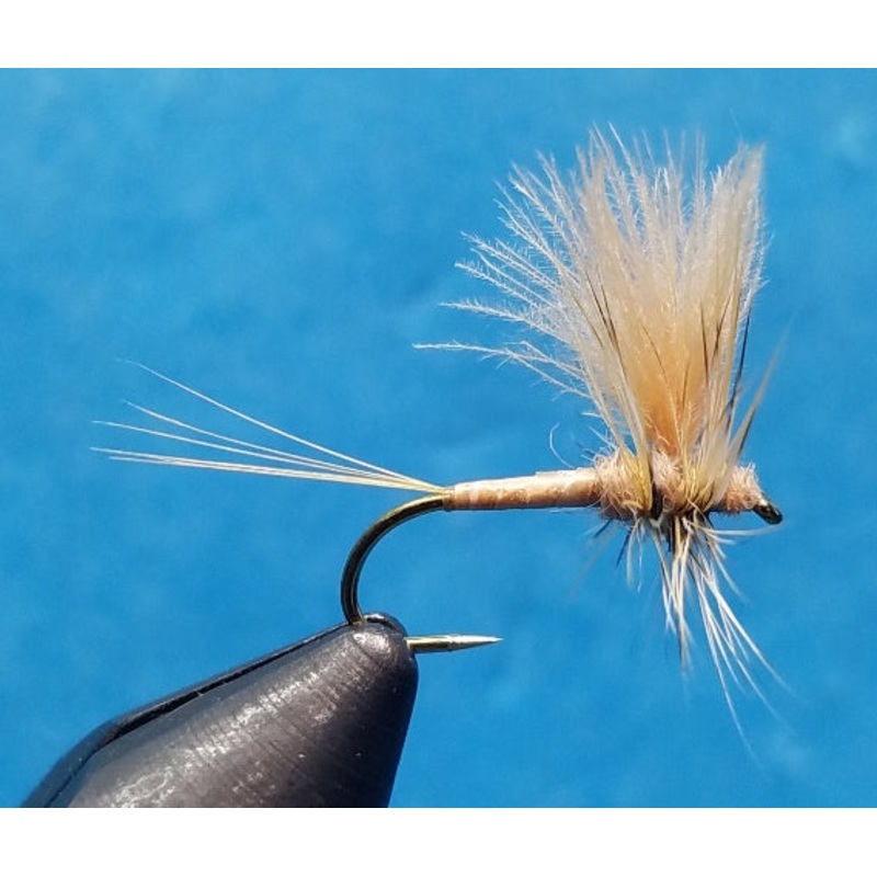 CDC Thorax March Brown