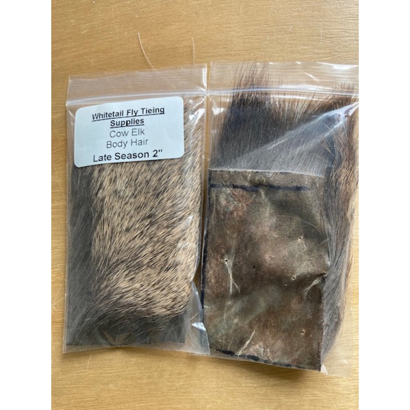 Elk, Cow Body Late Season|2″ x 3″|Natural