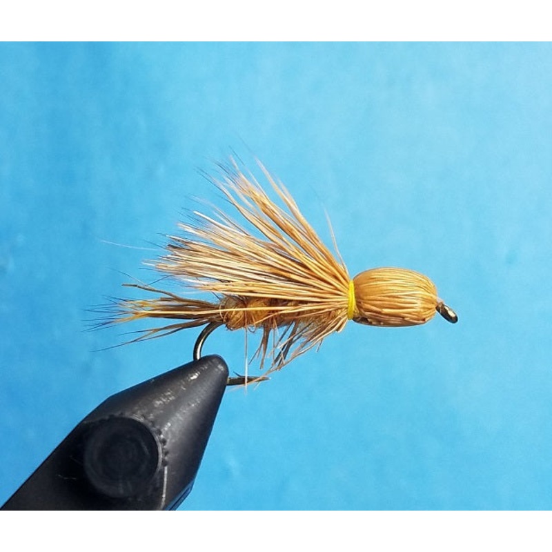 Henry’s Fork Golden