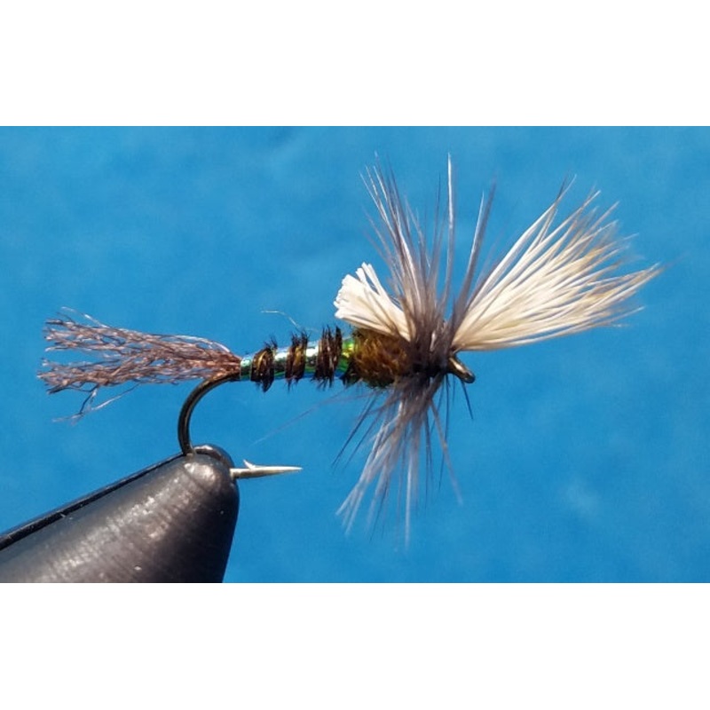 Kingfisher Cripple|16|18