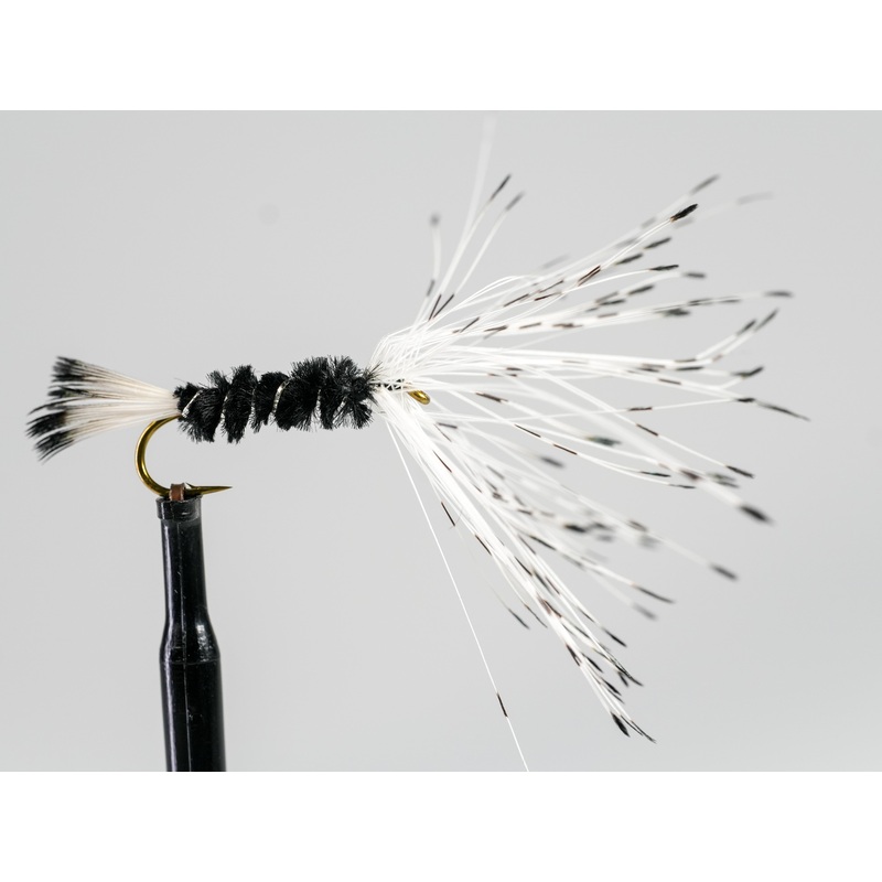 Kinneys Reverse Spider