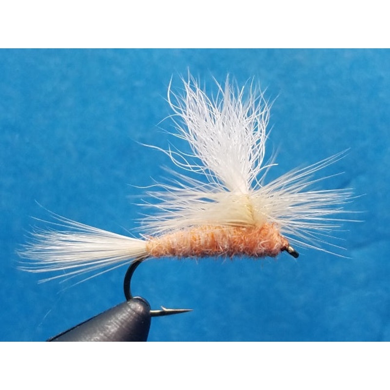 Parachute Light Orange|12|14