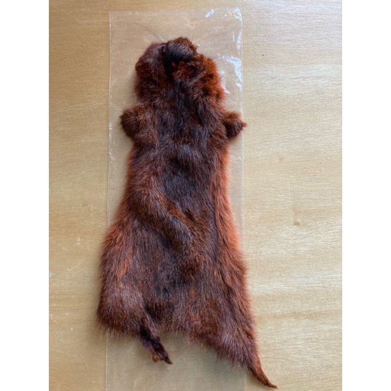 Pine Squirrel Skin Premium dyed Rusty Brown